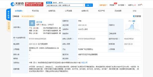 計算機軟硬件技術(shù)開發(fā) 雙輪驅(qū)動，引領(lǐng)數(shù)字未來